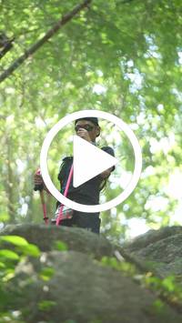 BIB:  <button type="button" onclick="openModal(27929965)" class="btn btn-primary btn-sm float-right" data-toggle="modal" data-target=".modal-high-quality">
                <i class="fa fa-download"></i> Download
                </button>